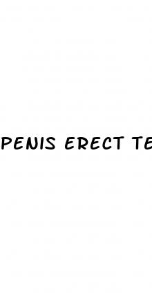 penis erect testicles