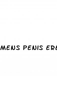 mens penis erection