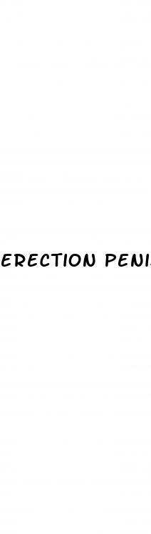 erection penis tumblr