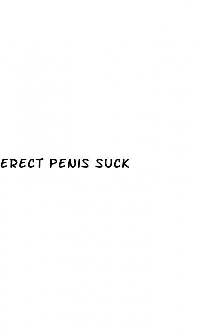 erect penis suck
