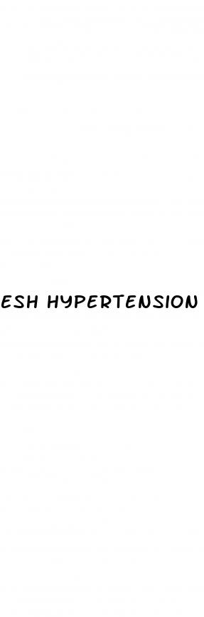 esh hypertension guidelines