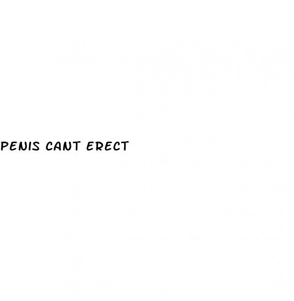 penis cant erect