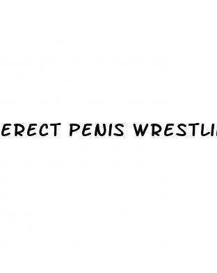 erect penis wrestling