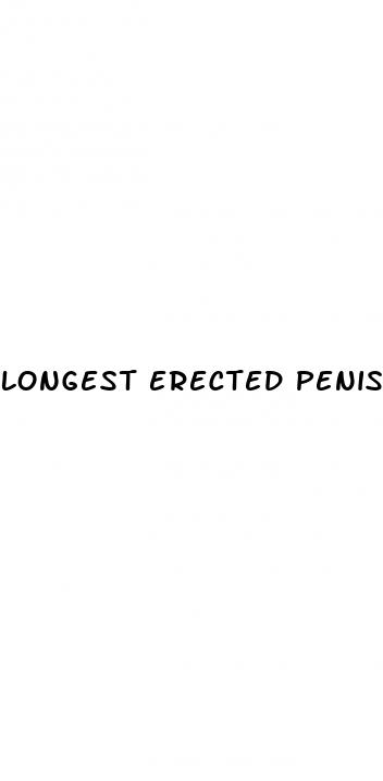 longest erected penis