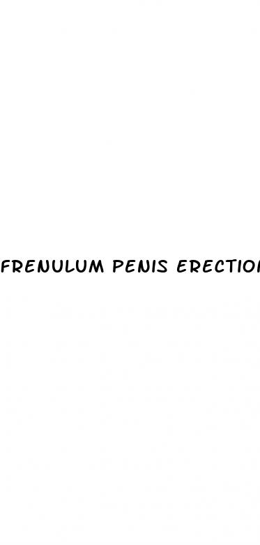 frenulum penis erection