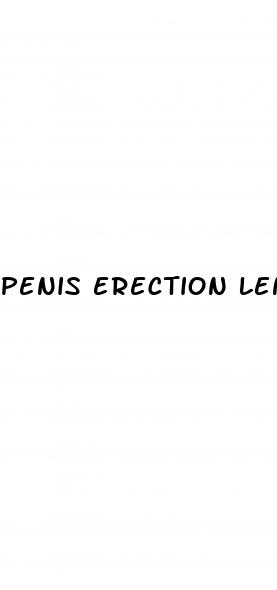 penis erection length