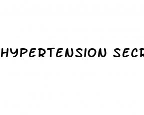 hypertension secrets pdf