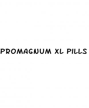promagnum xl pills