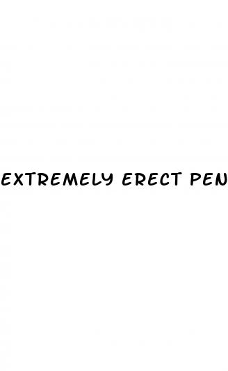extremely erect penis
