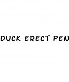 duck erect penis