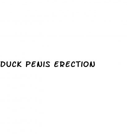 duck penis erection