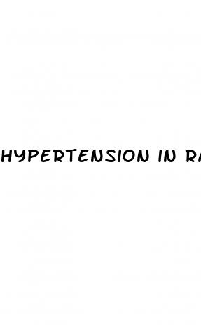 hypertension in rats