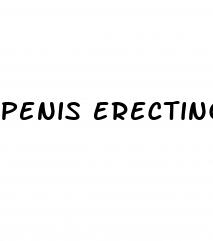 penis erecting nude