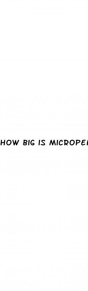 how big is micropenis
