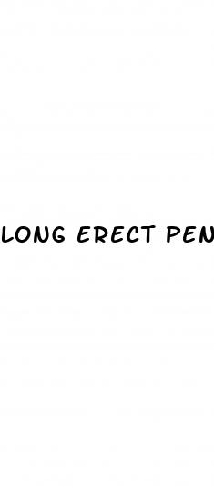 long erect penis pics