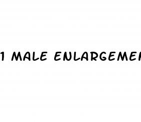 1 male enlargement pill