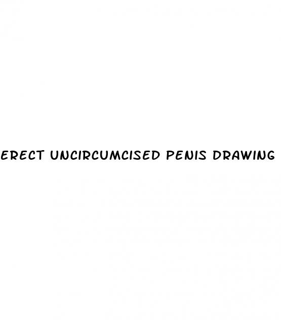 erect uncircumcised penis drawing