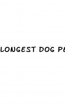 longest dog penis erect