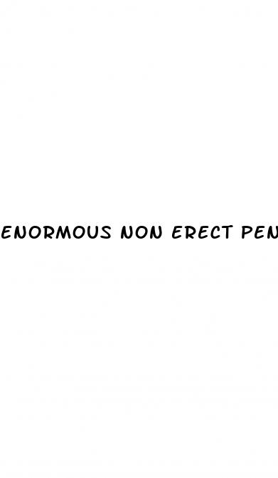 enormous non erect penis