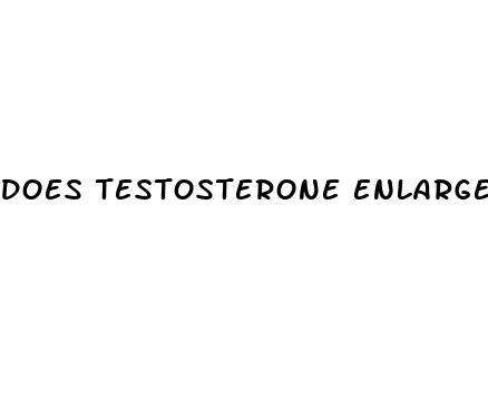 does testosterone enlarge penis