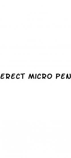 erect micro penis actual size picture