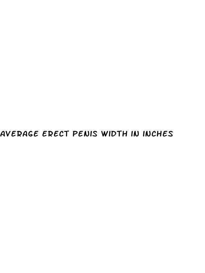 average erect penis width in inches