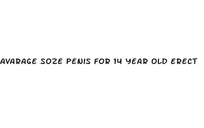 avarage soze penis for 14 year old erect