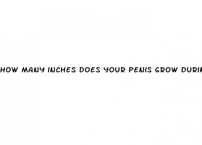 how many inches does your penis grow during erection
