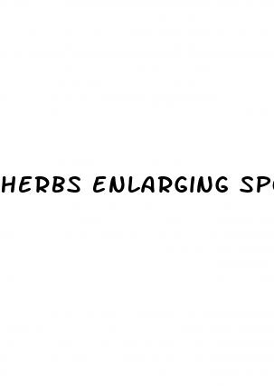 herbs enlarging spongy tissue in penis