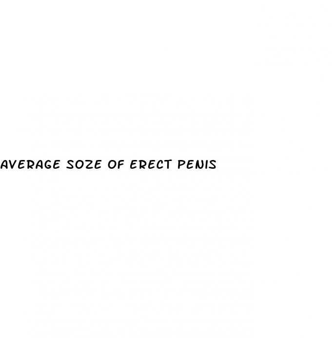 average soze of erect penis