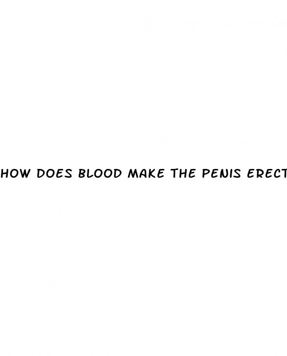 how does blood make the penis erect