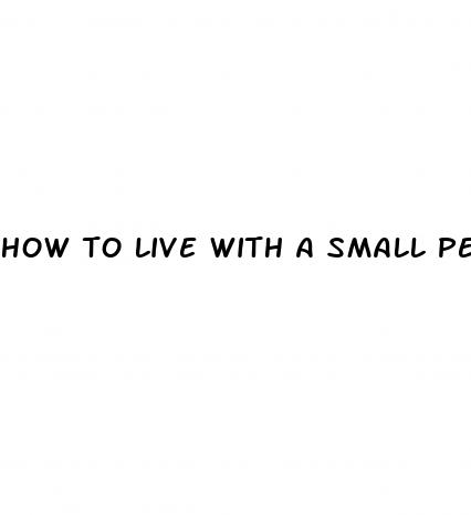 how to live with a small penis book