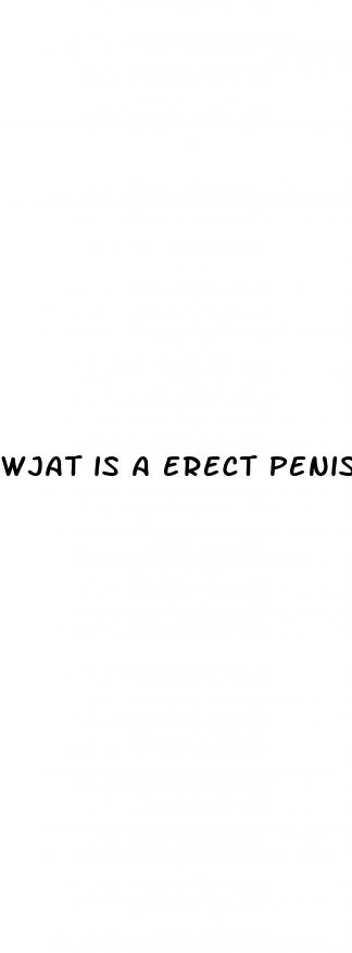 wjat is a erect penis