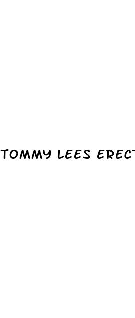 tommy lees erect penis