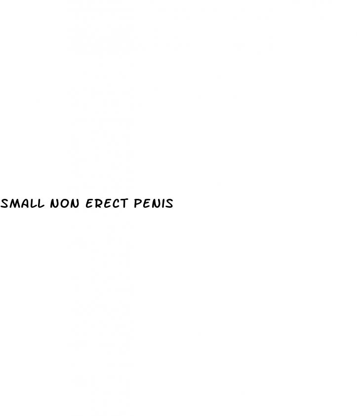 small non erect penis