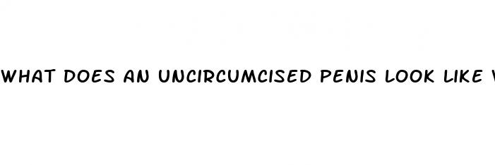 what does an uncircumcised penis look like when erect