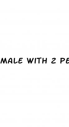 male with 2 penis