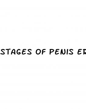 stages of penis erection