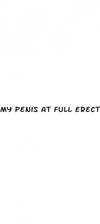 my penis at full erection