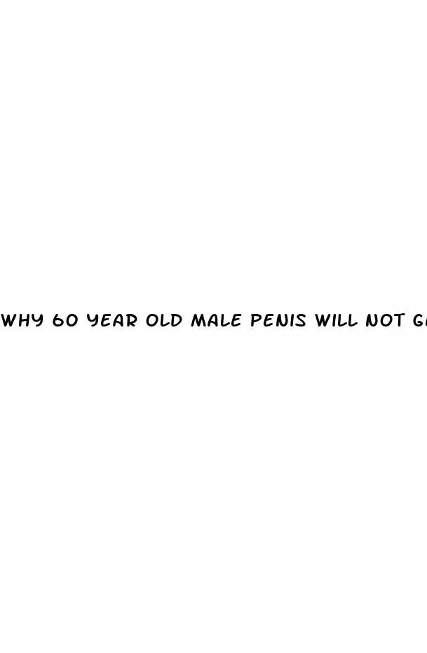 why 60 year old male penis will not get erection