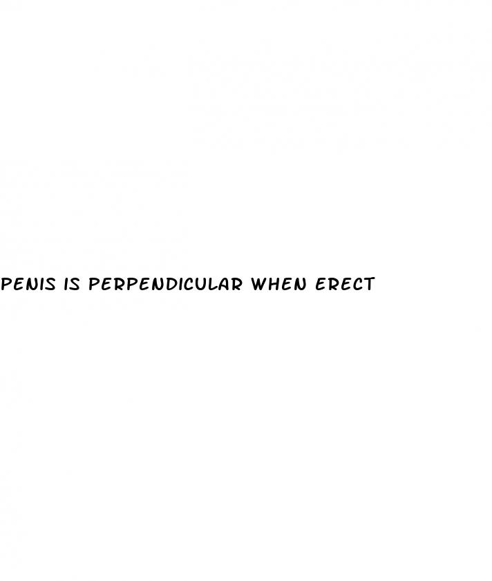 penis is perpendicular when erect