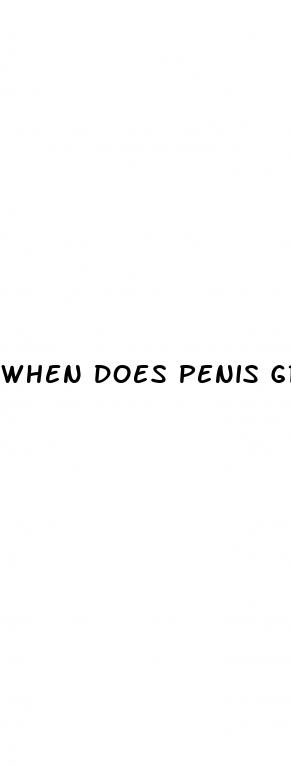 when does penis grow
