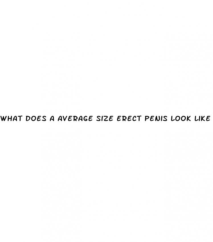 what does a average size erect penis look like