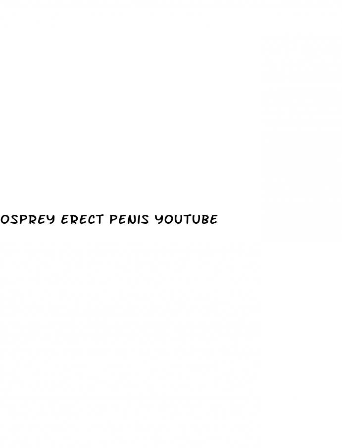 osprey erect penis youtube