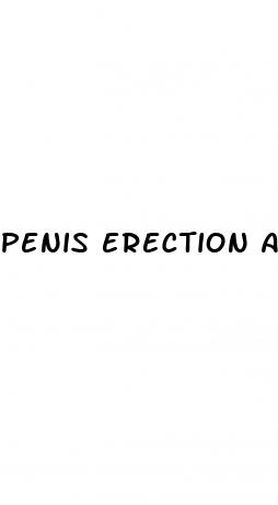 penis erection angle too large