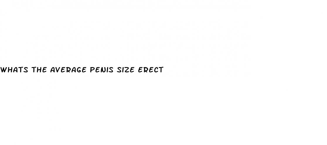 whats the average penis size erect