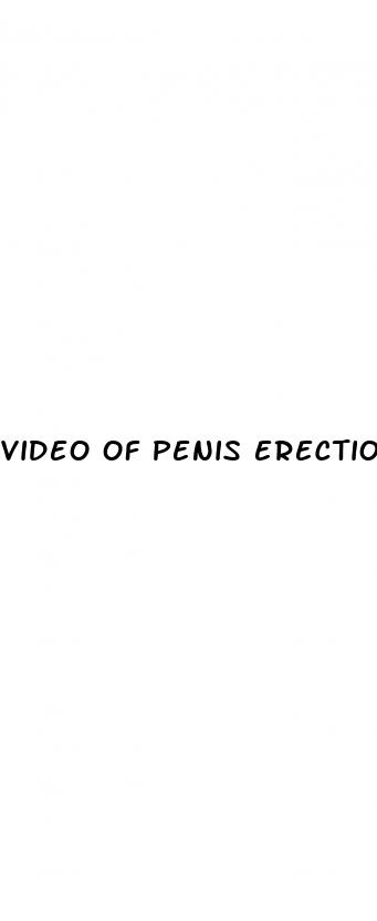 video of penis erection