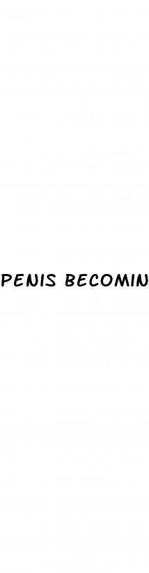 penis becoming erect and ejaculating video
