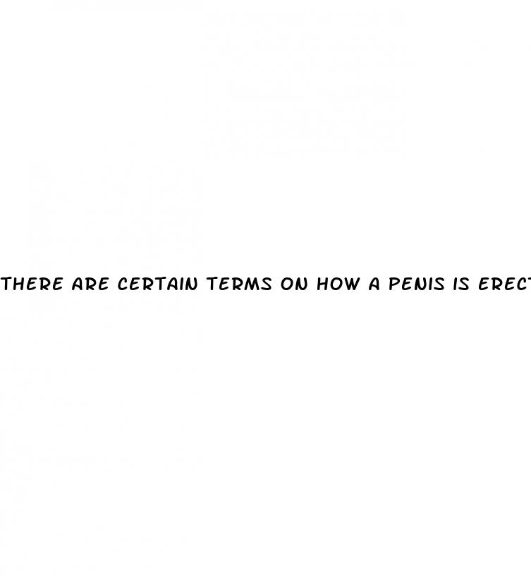 there are certain terms on how a penis is erect