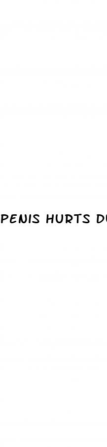 penis hurts during an erection